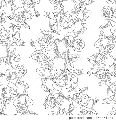 Vintage seamless pattern with hand drawn black and white rose flowers. Boho floral monochrome repeat wallpaper Vintage seamless pattern with hand drawn black and white rose flowers. Boho floral monochrome repeat wallpaper 134831975