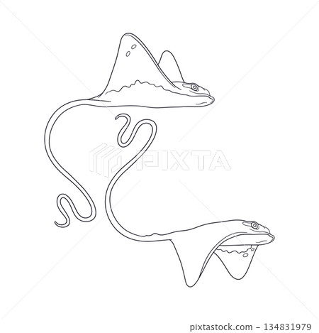 Cartoon style black and white stingray swimming in ocean amongst seaweed hand drawn vector illustration Cartoon style black and white stingray swimming in ocean amongst seaweed hand drawn vector illustration 134831979