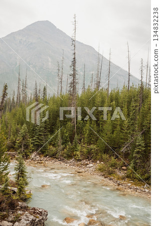 Cascading river through Maligne Canyon in Jasper National Park, Alberta, Canada Cascading river through Maligne Canyon in Jasper National Park, Alberta, Canada 134832238