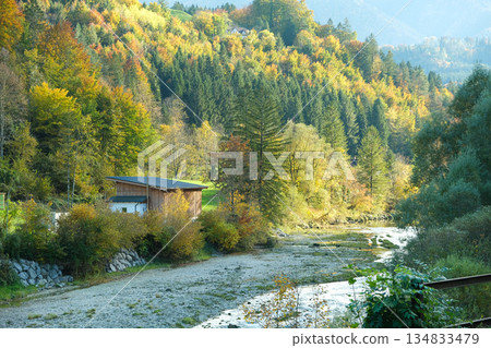 Peaceful Alpine Scenery with Forest and River Peaceful Alpine Scenery with Forest and River 134833479