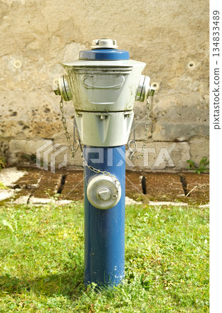 Blue and Silver European Above-Ground Fire Hydrant on Grass Blue and Silver European Above-Ground Fire Hydrant on Grass 134833489
