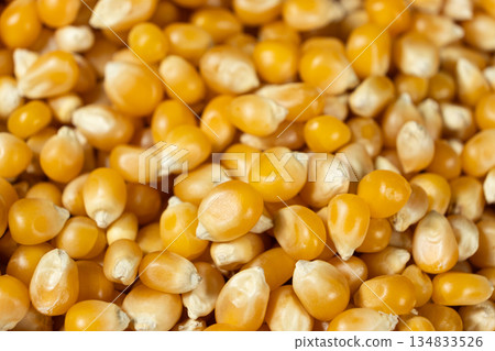 Pattern of dry uncooked yellow corn seeds kernels for popcorn Pattern of dry uncooked yellow corn seeds kernels for popcorn 134833526