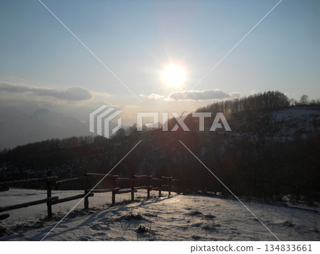 Winter landscape of a Tuscan forest in Italy, featuring rolling hills, bare trees, and soft natural light. A peaceful rural scene showcasing the seasonal beauty of Tuscany s countryside, ideal for Winter landscape of a Tuscan forest in Italy, featuring rolling hills, bare trees, and soft natural light. A peaceful rural scene showcasing the seasonal beauty of Tuscany s countryside, ideal for 134833661