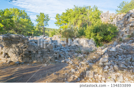 Ruins of ancient Phaselis, Antalya province. Turkey ancient city, streets, columns, buildings, scattered stones and parts of ruins and artifacts. 134833899