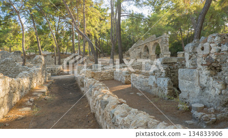 Ruins of ancient city of Phaselis near village of Camyuva, Turkey. 134833906