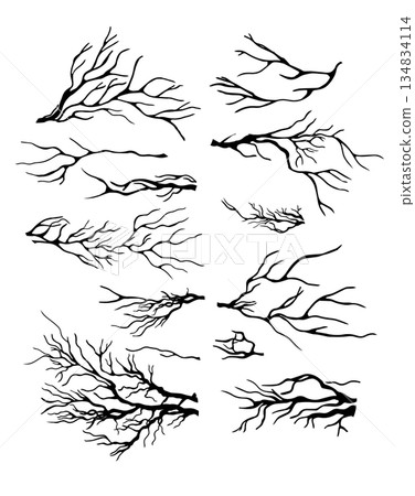 A set of tree branches . hand drawing. Not AI Vector illustration. 134834114