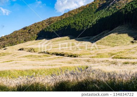 秋季箱根仙石原鈴木草地 秋季箱根仙石原鈴木草地 134834722