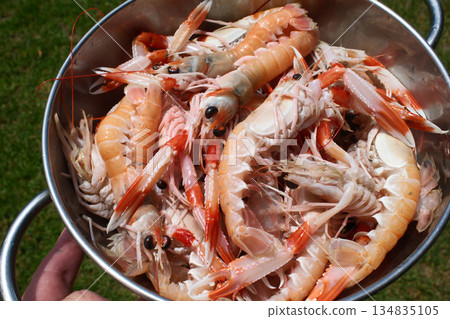 fresh red scampi as delicacy meditarrean sea food in costa brava fresh red scampi as delicacy meditarrean sea food in costa brava 134835105