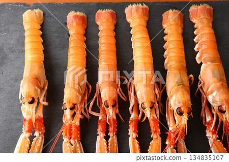 fresh red scampi as delicacy meditarrean sea food in costa brava fresh red scampi as delicacy meditarrean sea food in costa brava 134835107