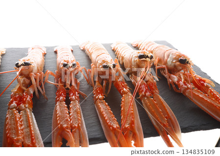 fresh red scampi as delicacy meditarrean sea food in costa brava fresh red scampi as delicacy meditarrean sea food in costa brava 134835109