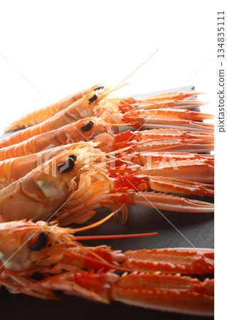 fresh red scampi as delicacy meditarrean sea food in costa brava fresh red scampi as delicacy meditarrean sea food in costa brava 134835111