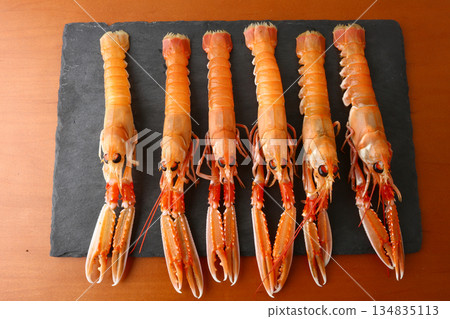 fresh red scampi as delicacy meditarrean sea food in costa brava 134835113