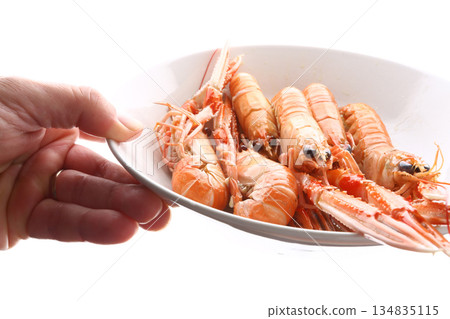 fresh red scampi as delicacy meditarrean sea food in costa brava 134835115
