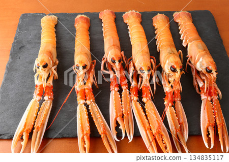 fresh red scampi as delicacy meditarrean sea food in costa brava fresh red scampi as delicacy meditarrean sea food in costa brava 134835117