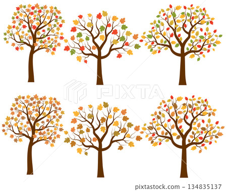 Colorful autumn tree silhouettes vector collection Colorful autumn tree silhouettes vector collection 134835137