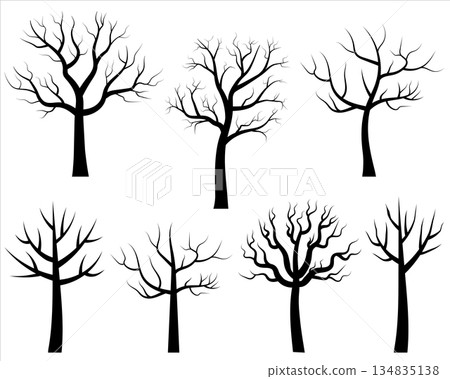 Vector bare tree silhouettes, Black stylized trees without leaves, No leaves cartoon trees Vector bare tree silhouettes, Black stylized trees without leaves, No leaves cartoon trees 134835138