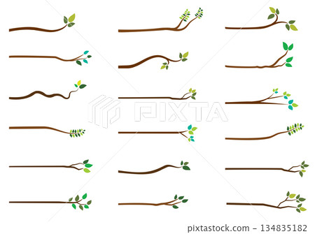 Simple vector tree branches with green leaves on white background for greeting cards and graphic design 134835182