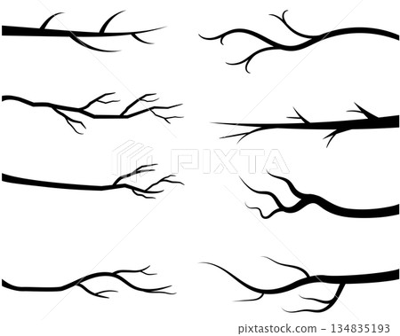 Bare tree branch silhouettes, Black branches without leaves 134835193