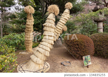 Straw fence set up in preparation for winter at the former Furukawa Gardens Straw fence set up in preparation for winter at the former Furukawa Gardens 134835255