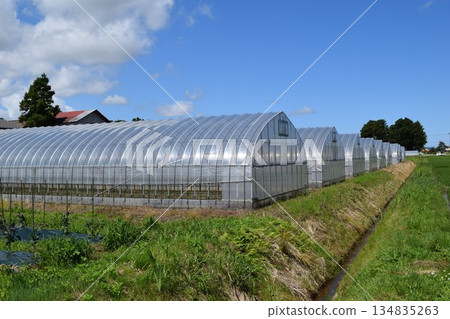 農業塑料房子 134835263