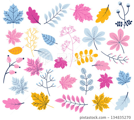 Cute vector foliage collection with tree leaves and plants in different shapes in blue, pink and yellow colors 134835270