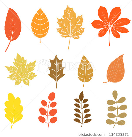 Vector set with autumn leaves in flat style in orange, yellow and brown colors for icons and graphic design Vector set with autumn leaves in flat style in orange, yellow and brown colors for icons and graphic design 134835271
