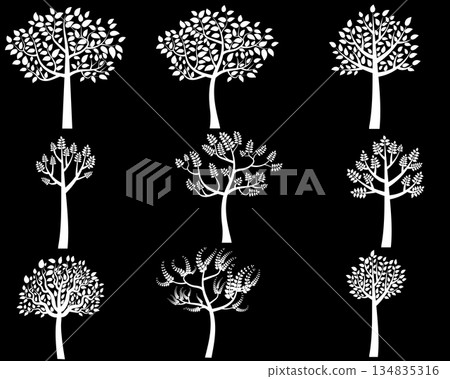 White tree silhouettes with leaves on black background - vector illustration White tree silhouettes with leaves on black background - vector illustration 134835316