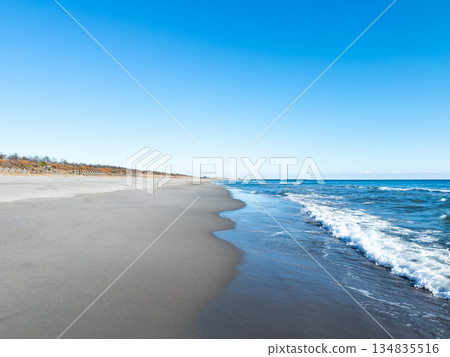 大倉戶海灘（靜岡縣湖西市） 134835516