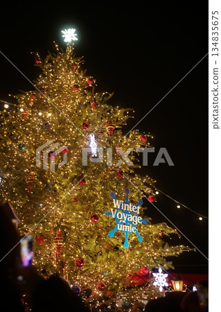 Christmas tree Christmas tree 134835675