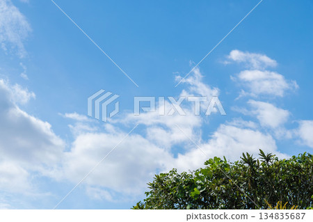 Autumn sky: Daytime blue sky, clouds and plants 60 Autumn sky: Daytime blue sky, clouds and plants 60 134835687