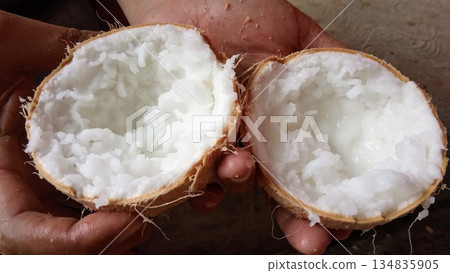 Hands Holding Open Macapuno Kopyor Coconut with Soft Meat Texture 134835905