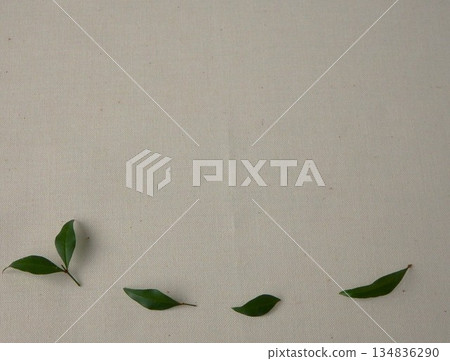 樹葉的痕跡依然存在。 134836290