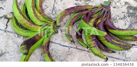 Fresh Green Bananas with Purple Spots Specialty Musa Fruit for Culinary Ingredients Fresh Green Bananas with Purple Spots Specialty Musa Fruit for Culinary Ingredients 134836438