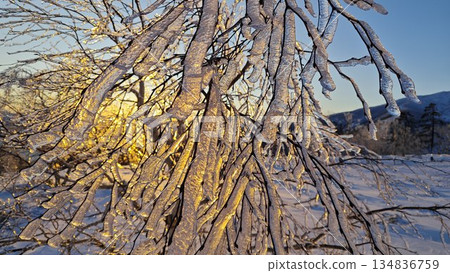 一張罕見的日落和霜凍照片 一張罕見的日落和霜凍照片 134836759