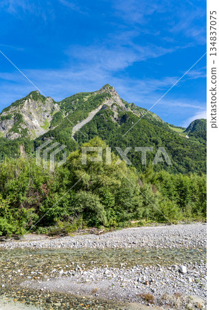 Mt. Myojin seen from the left bank of the Azusa River. Kamikochi Nature Trail. Forest Walking. 134837075