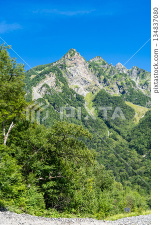從梓川左岸眺望明神山東脊。上高地自然步道。森林漫步。 從梓川左岸眺望明神山東脊。上高地自然步道。森林漫步。 134837080