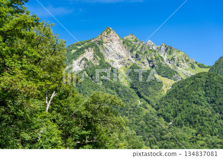從梓川左岸眺望明神山東脊。上高地自然步道。森林漫步。 從梓川左岸眺望明神山東脊。上高地自然步道。森林漫步。 134837081