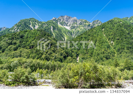 The northern ridge of Mount Maehotaka seen from the left bank of the Azusa River. Kamikochi Nature Trail. Forest Walking. 134837094