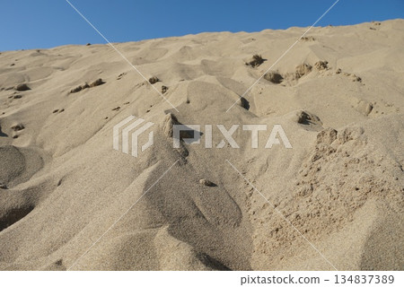 Wind made in sand 134837389