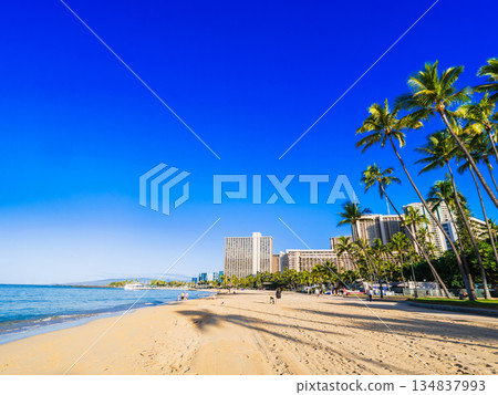 Waikiki Beach in the morning sun in Hawaii 134837993