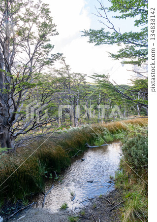 Hiking the W-Trek in Torres Del Paine 134838142