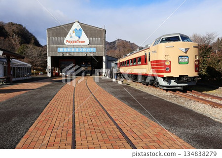 189 Series "Asama" Limited Express at Usui Pass Railway Culture Park (Yokokawa, Matsuida-cho, Annaka City, Gunma Prefecture) 134838279