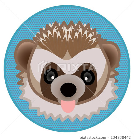 刺蝟臉部插圖，圓形背景 134838442