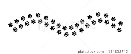 Wavy track of wet or mud pawprints of dog, cat, bear or raccoon. Paw silhouettes trail. Steps of running or walking animal isolated on white background. Vector graphic illustration 134838742