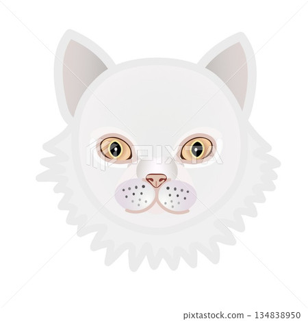 波斯貓臉部插圖 134838950