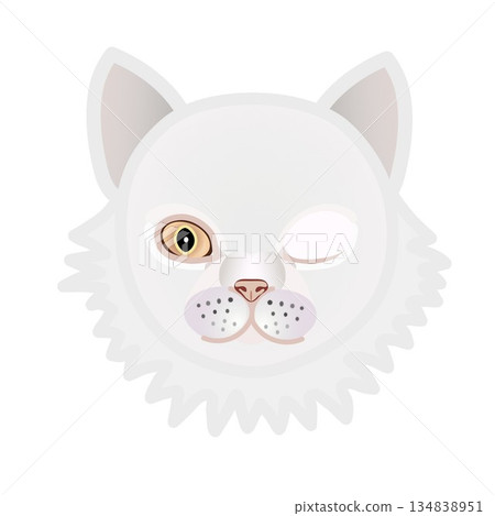 Persian cat face illustration Persian cat face illustration 134838951
