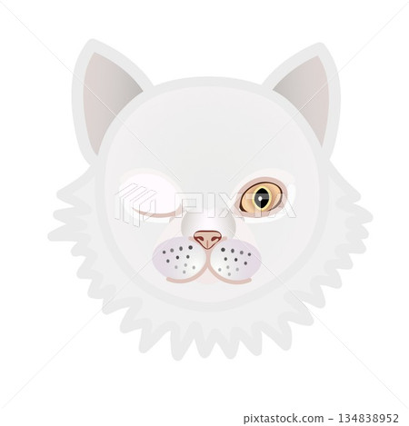 Persian cat face illustration Persian cat face illustration 134838952