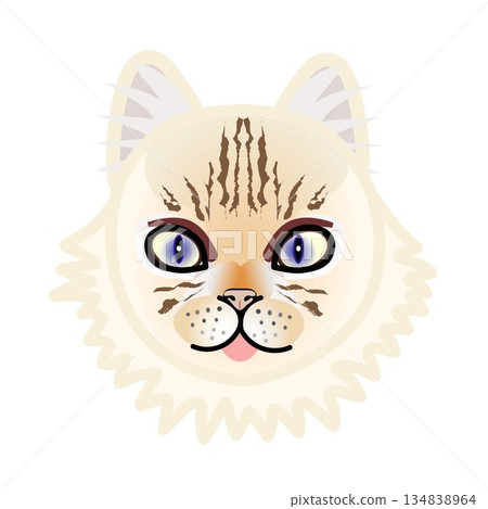 波斯貓臉部插圖 134838964