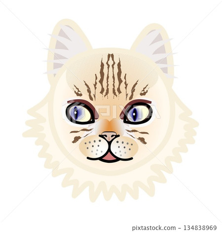 波斯貓臉部插圖 波斯貓臉部插圖 134838969