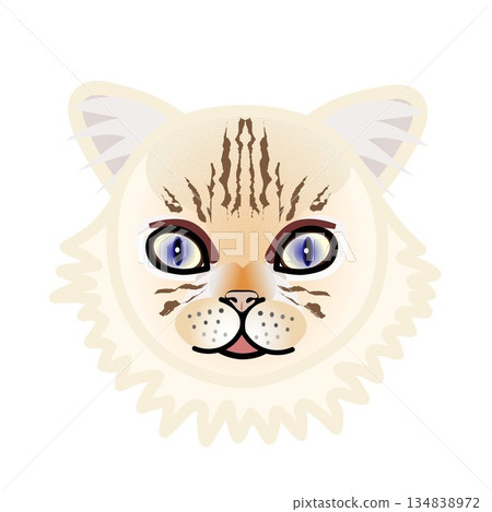 波斯貓臉部插圖 134838972